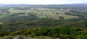 Prados, bosques e explotacións gandeiras en Bama.