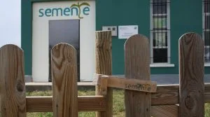 Semente, lingua, ensino.