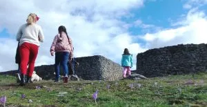 Cordal, Gago, Colmenero, celtismo, historia