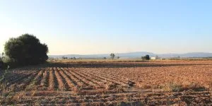 rural, despoboamento, A Limia, agricultura, ordenación do territorio, solo