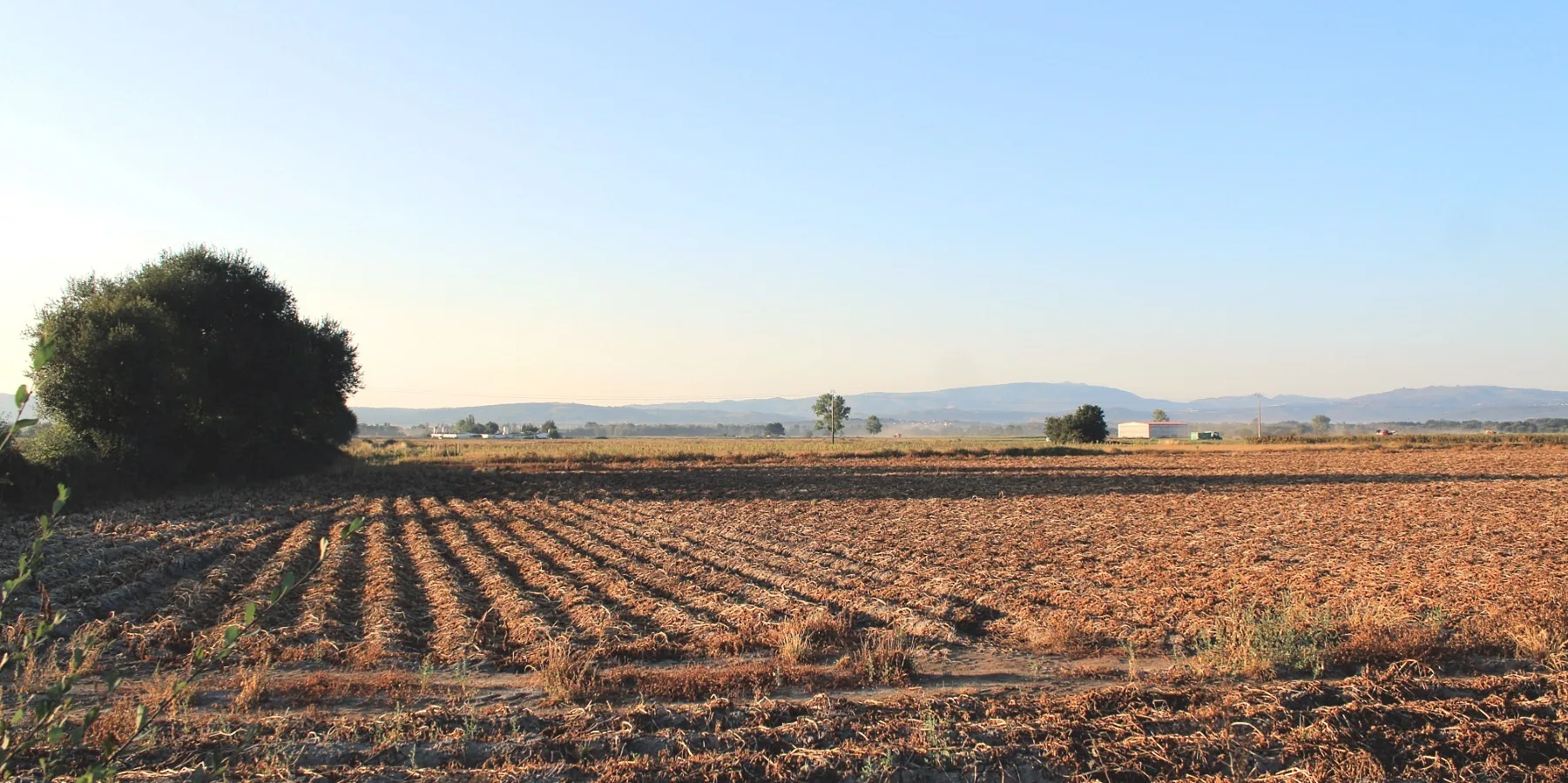 rural, despoboamento, A Limia, agricultura, ordenación do territorio, solo