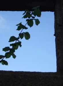despoboamento, rural, Ourense.